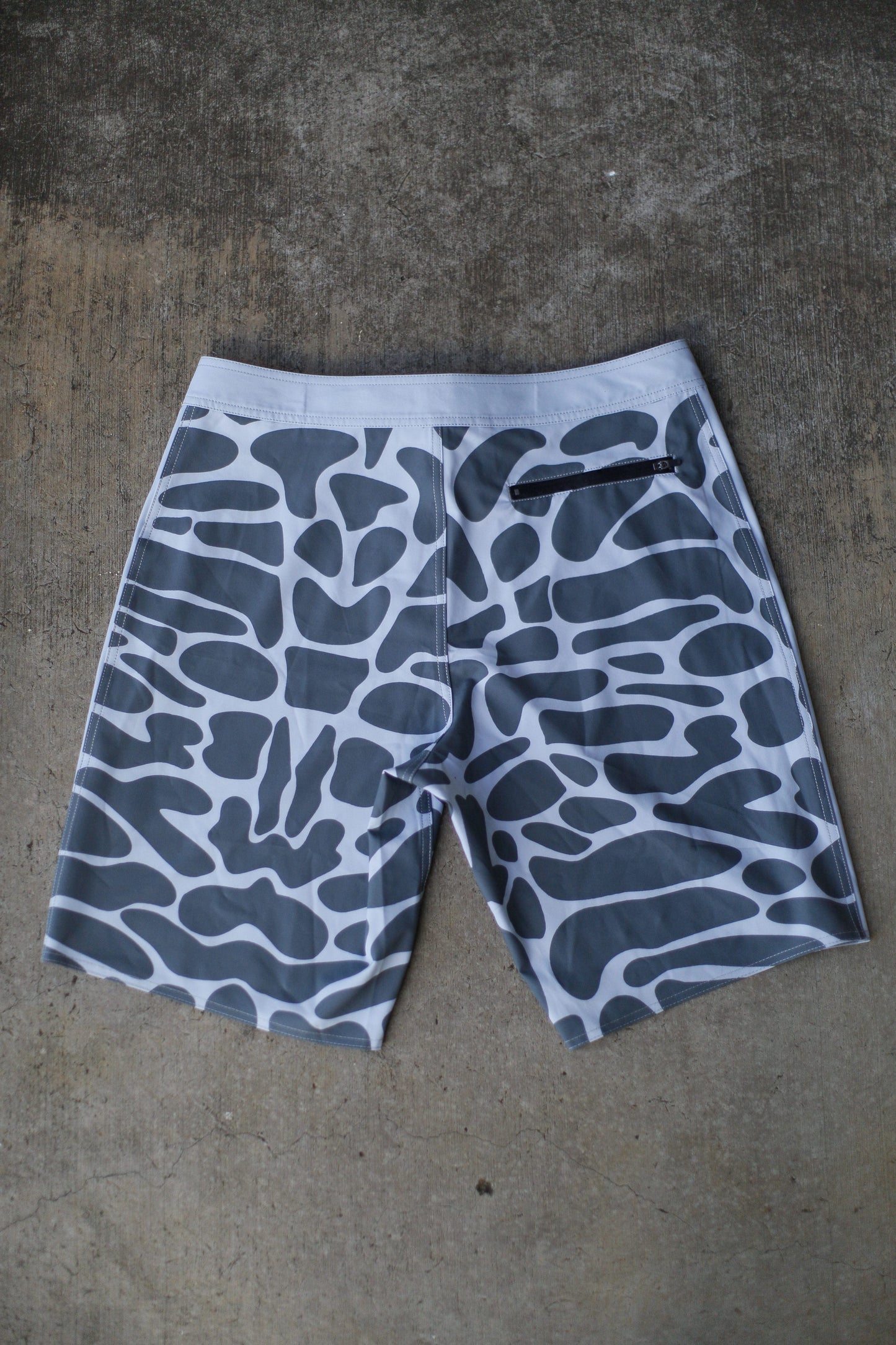 Tiger Shark Print Board Shorts