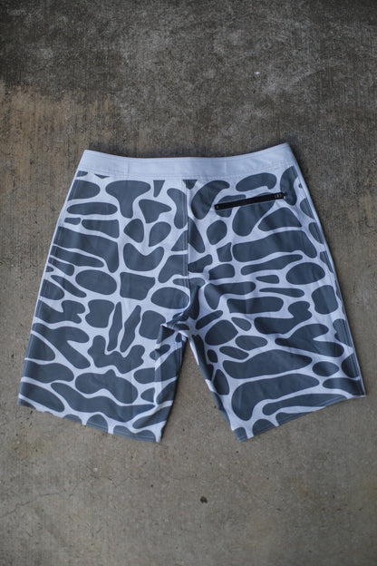 Tiger Shark Print Board Shorts